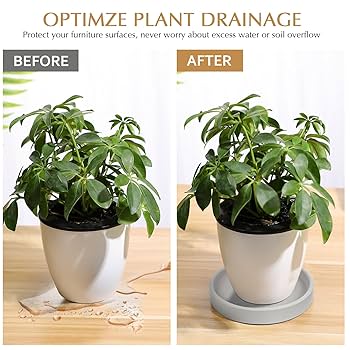Amazon.co.jp: OUNONA プランター 植木鉢受皿 トレー トレイ